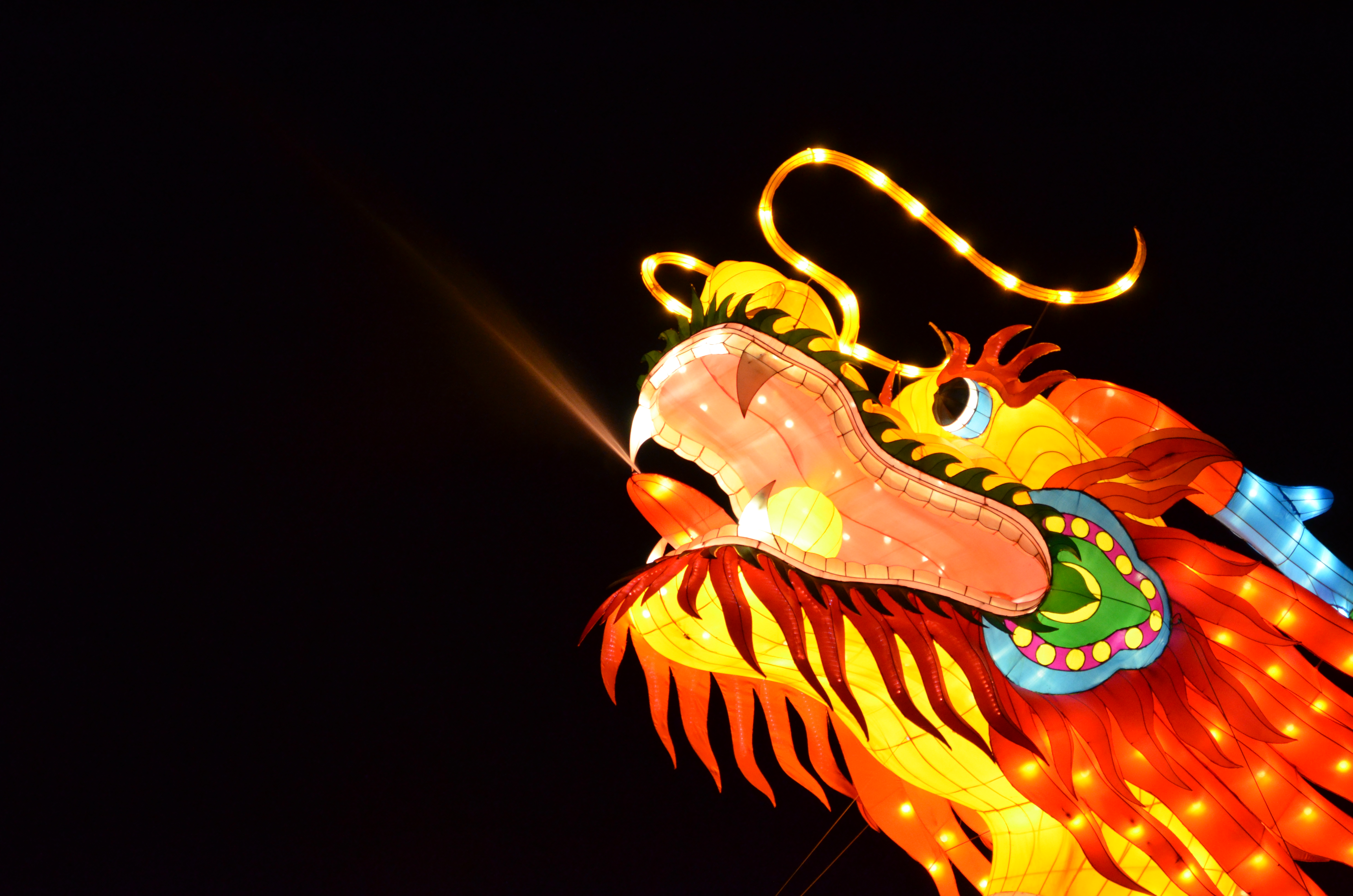 ./2015/33 - Chinese Lantern Festival/DSC_0611.JPG